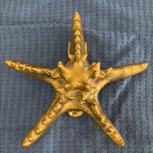 Brass starfish door knocker